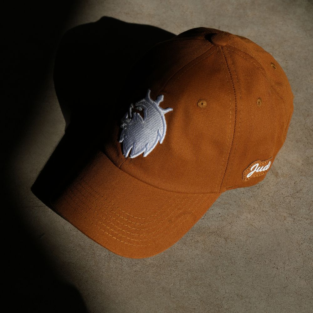 Boné Dad Hat Aba Curva