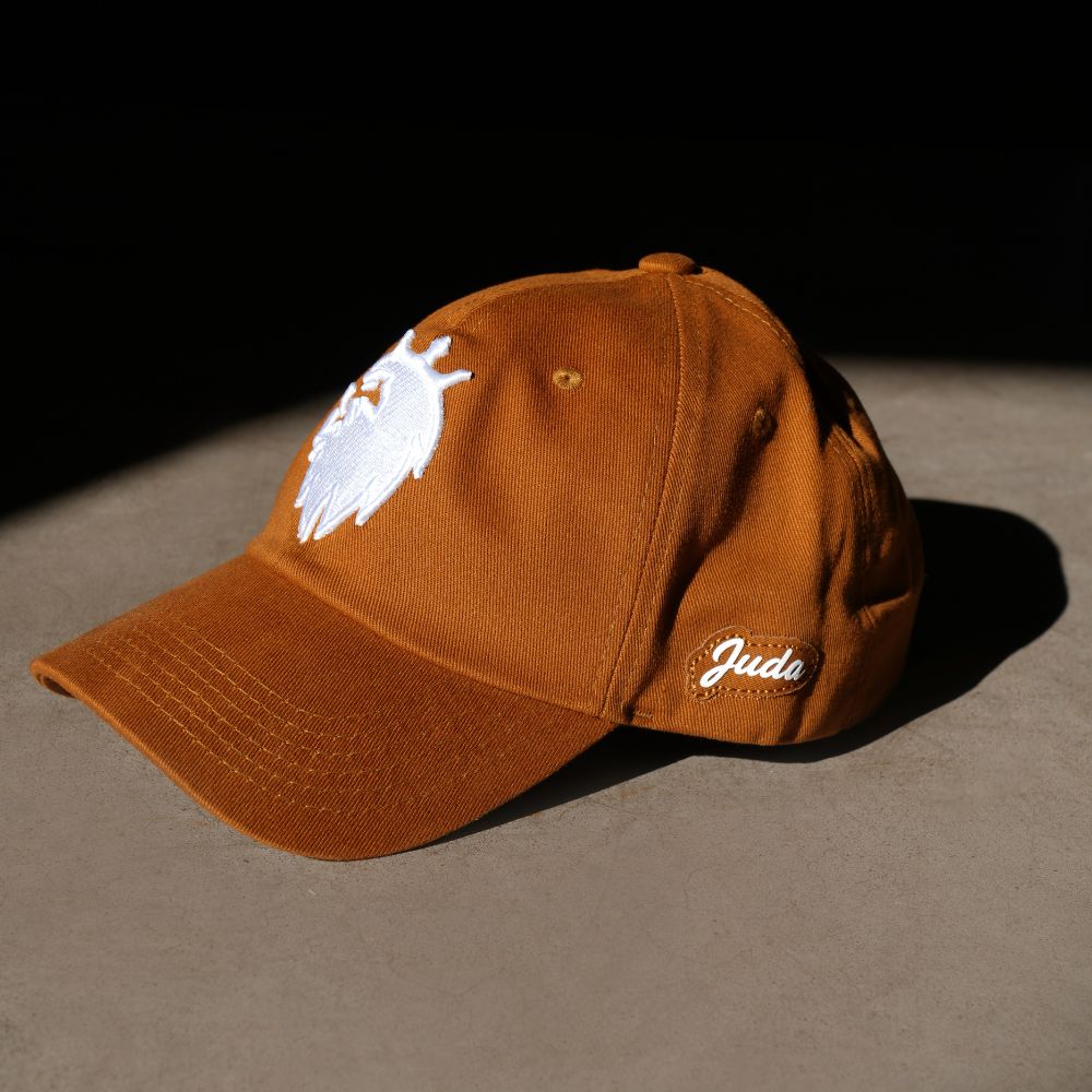 Boné Dad Hat Aba Curva