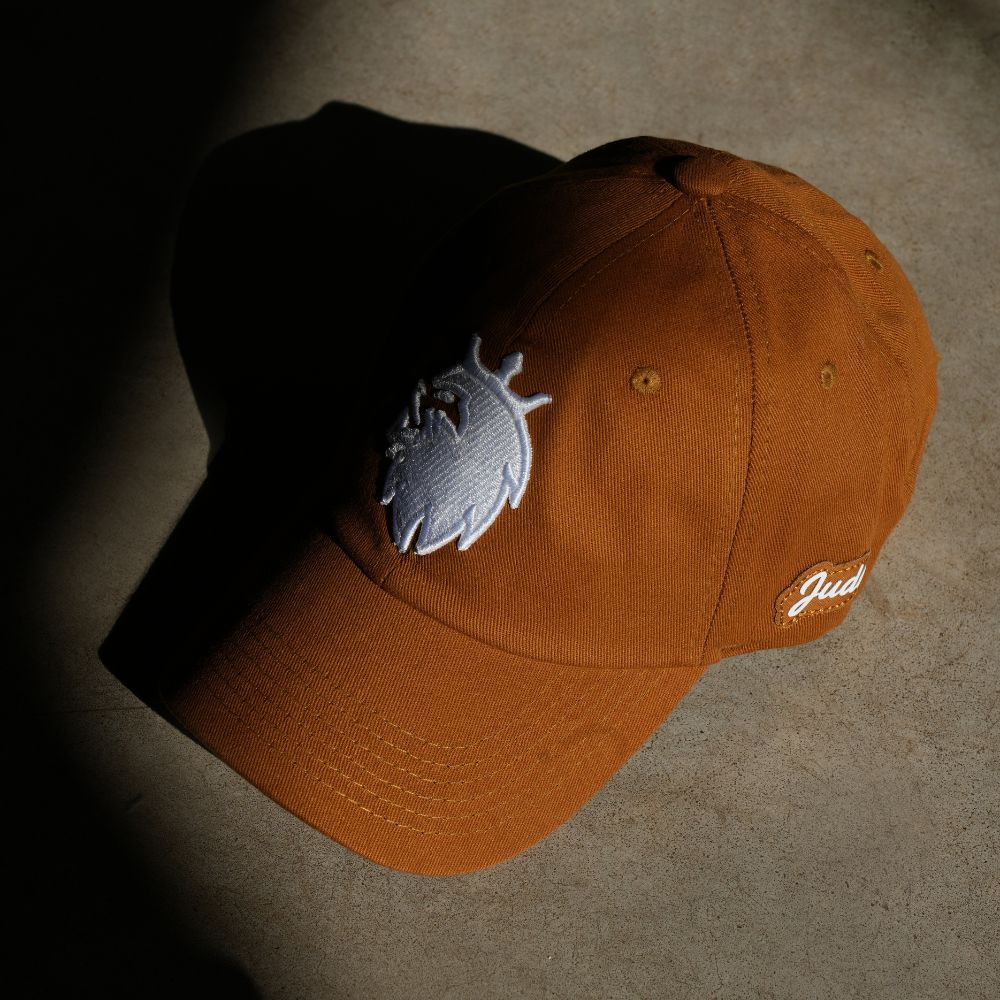 Boné Dad Hat Aba Curva