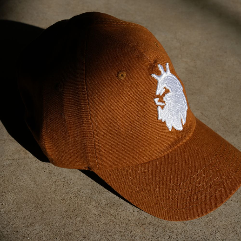 Boné Dad Hat Aba Curva