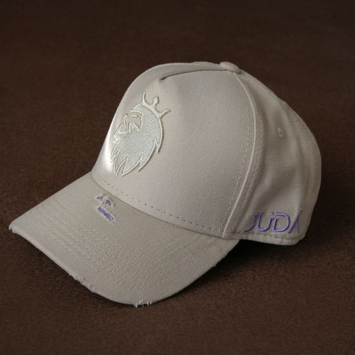 Boné Truker Branco e Roxo